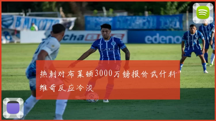 热刺对布莱顿3000万镑报价武什科维奇反应冷淡